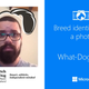 Imagen para el artículo titulado Averigua de qué raza es tu perro con esta nueva aplicación de Microsoft